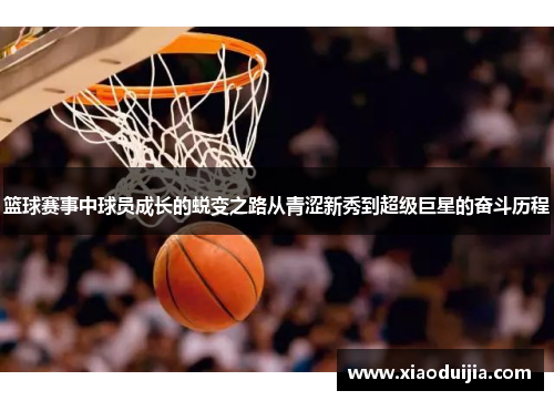 篮球赛事中球员成长的蜕变之路从青涩新秀到超级巨星的奋斗历程