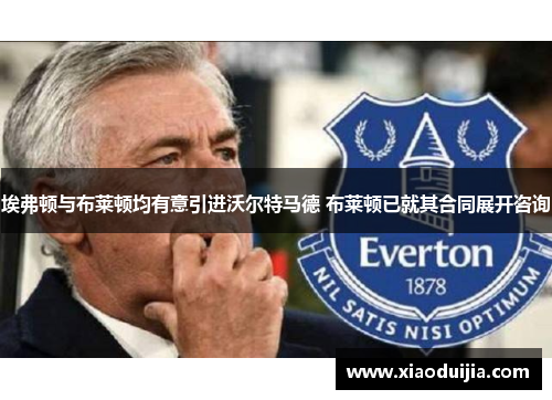 埃弗顿与布莱顿均有意引进沃尔特马德 布莱顿已就其合同展开咨询