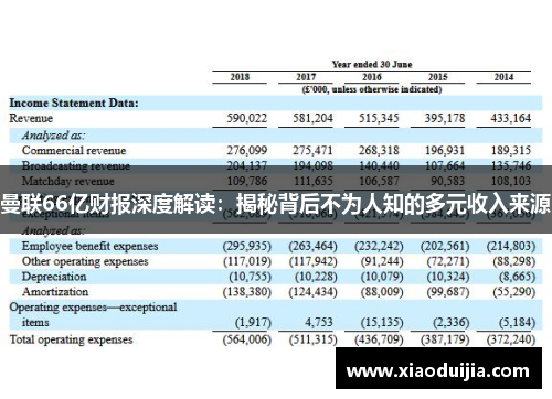 曼联66亿财报深度解读：揭秘背后不为人知的多元收入来源