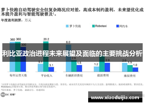 利比亚政治进程未来展望及面临的主要挑战分析