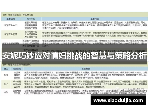 安妮巧妙应对情妇挑战的智慧与策略分析