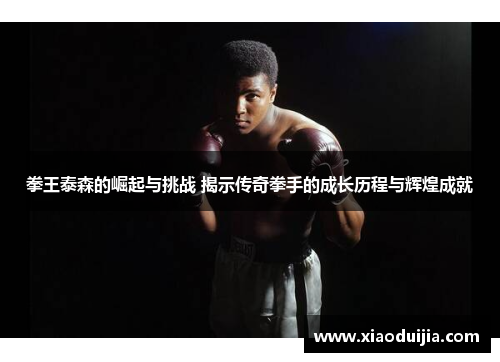 拳王泰森的崛起与挑战 揭示传奇拳手的成长历程与辉煌成就