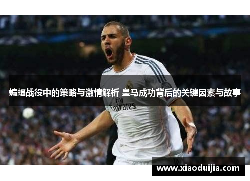 蝙蝠战役中的策略与激情解析 皇马成功背后的关键因素与故事