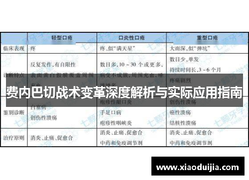 费内巴切战术变革深度解析与实际应用指南 费内巴切战术变革深度解析与实际应用指南